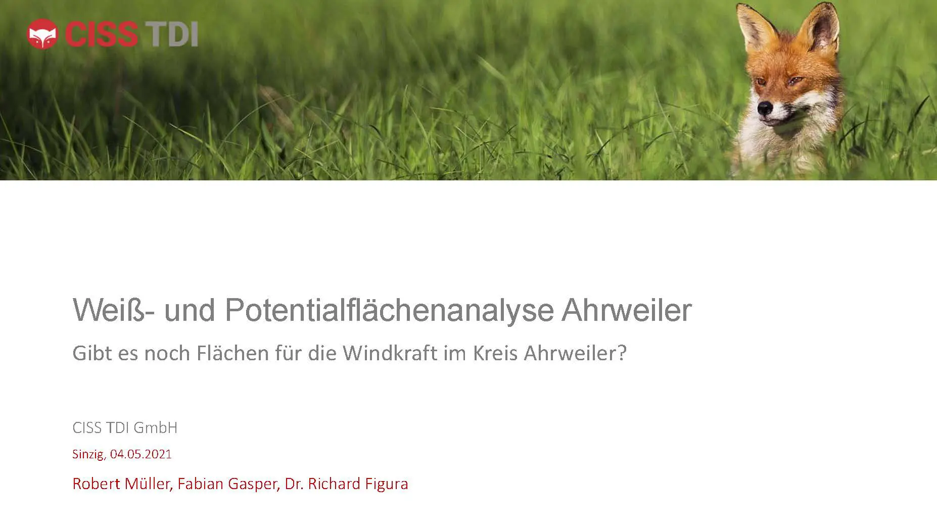 2021-05-05-Weiss-und-Potentialflaechenanalyse-AW_Seite_01 2021-05-05-Weiss-und-Potentialflaechenanalyse-AW_Seite_01